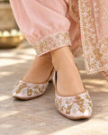 Punjabi Jutti 19