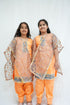 Punjabi Suit Orange Shade